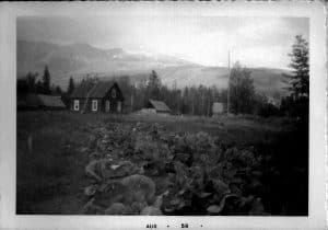 Small Boy and Farm Life